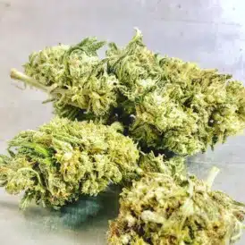 Jack Frost CBG Flower Buds