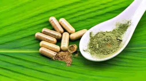 Red Vietnam Kratom Capsule