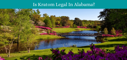 Is Kratom Legal In Alabama?