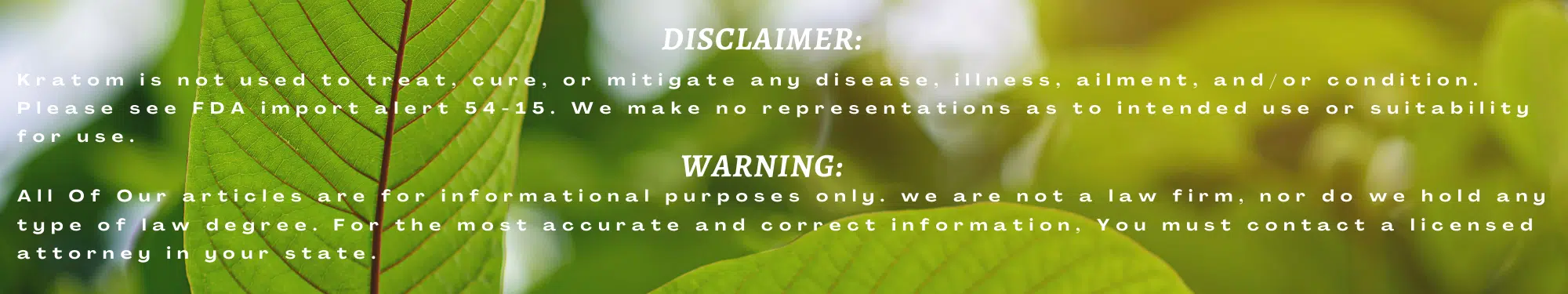 Disclaimer and Warning