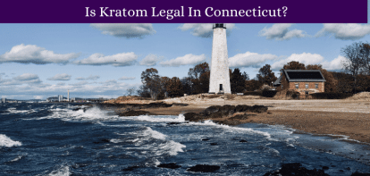 Is Kratom Legal In Connecticut?