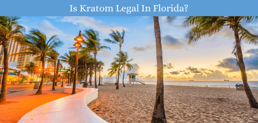 Is Kratom Legal In Florida?