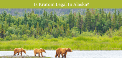 Is Kratom Legal In Alaska?