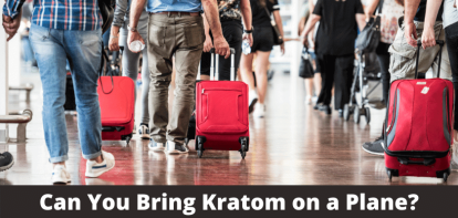 Can You Bring Kratom on a Plane?