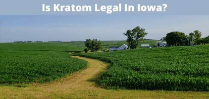 Is Kratom Legal In Iowa?