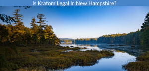 Is Kratom Legal In New Hampshire?