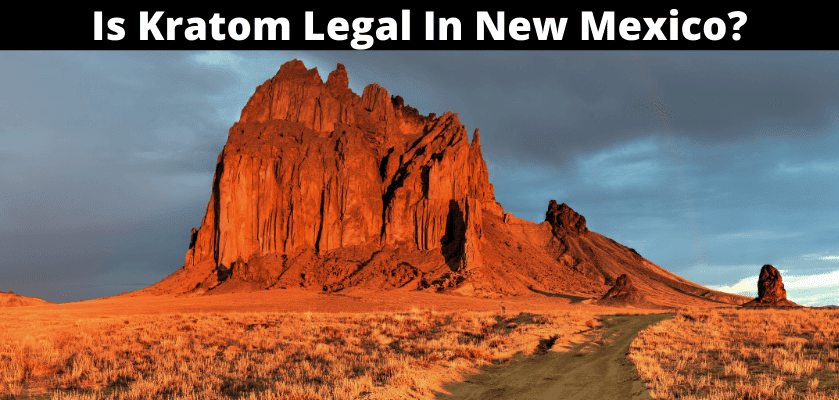 Is Kratom Legal In New Mexico?