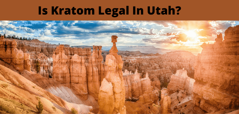 Is Kratom Legal In Utah? 