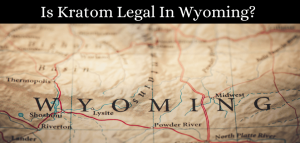 Is Kratom Legal In Wyoming? 