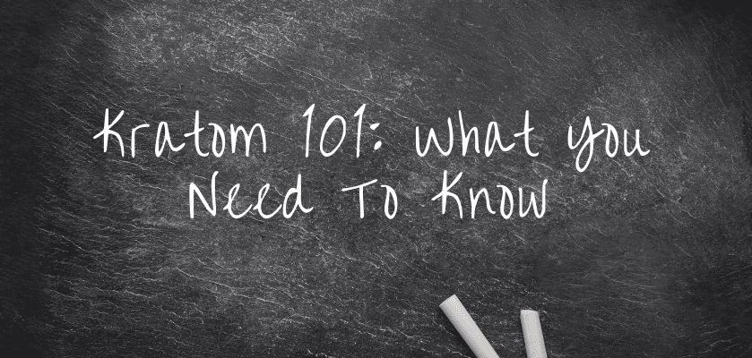 Kratom 101 What You Need To Know