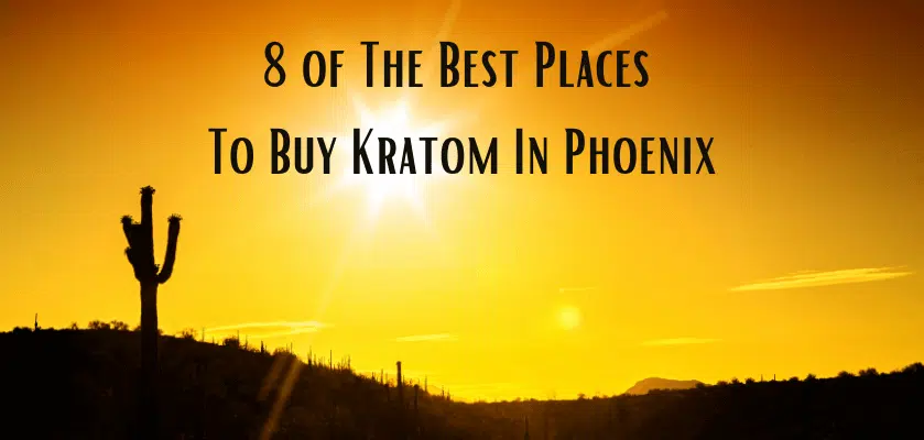 8 of The Best Places To Buy Kratom In Phoenix