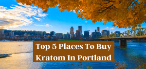 Top 5 Places To Buy Kratom In Portland