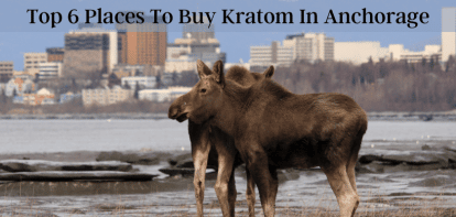 Top 6 Places To Buy Kratom In Anchorage