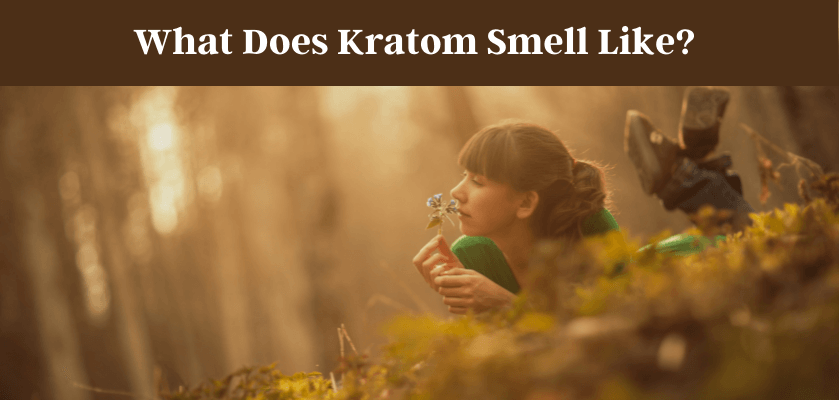 What Does Kratom Smell Like?