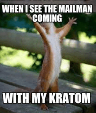 6 Of The Best Kratom Memes