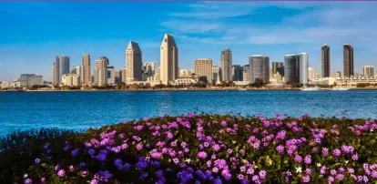 buy kratom in san diego