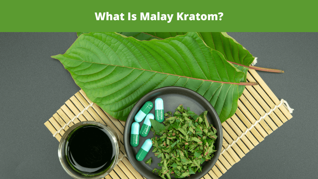 What Is Malay Kratom?