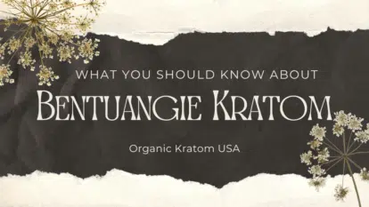 Bentuangie Kratom