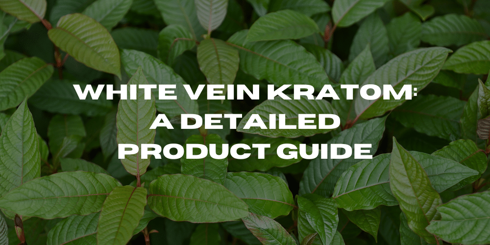 White Vein Kratom Product Guide