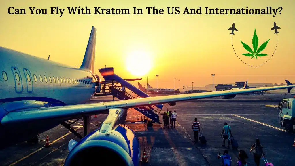 Can You Fly With Kratom In The US And Internationally