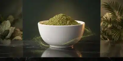 green ketapang kratom
